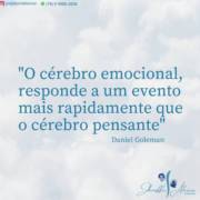 O cérebro emocional, responde a um evento mais rapidamente que um cérebro pensante.