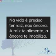 Na vida é preciso ter raiz, não âncora.