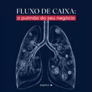 Fluxo de caixa: O pulmão do seu negócio.
