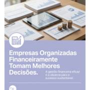 Empresas Organizadas Financeiramente Tomam Melhores Decisões