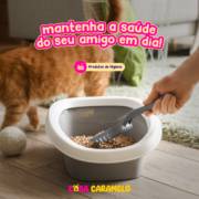 Mantenha a saúde e a higiene do seu gato em dias! Garanta os melhores itens aqui, na Casa Caramelo em Mineiros!
