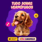 Saiba tudo sobre vermífugos e mantenha seu aumigo seguro contra parasitas!
