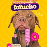 Estilo, Conforto e Muito Amor: Seu Pet Merece Tudo!