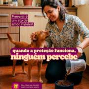 Fique atento aos sinais silenciosos do seu pet