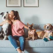 Onde o amor pelos pets encontra o melhor cuidado
