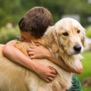 Mais que uma loja, uma casa para quem ama animais