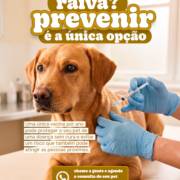 A prevenção é o maior cuidado que você pode oferecer ao seu aumigo