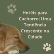 Hotéis para Cachorro: Uma Tendência Crescente na Cidade