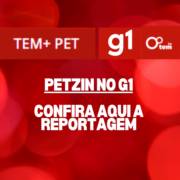 Fim de ano movimenta hotéis para pets e serviço de pet sitter