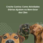 Creche Canina em Itapetininga: Como Atividades Diárias Ajudam no Bem-Estar dos Cães