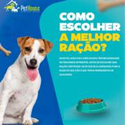 Como escolher a melhor ração?
