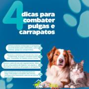 4 Dicas para combater pulgas e carrapatos
