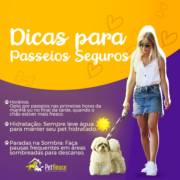 Dicas para passeios seguros