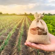 Como a Contabilidade Rural Pode Impulsionar o Agronegócio em Mato Grosso