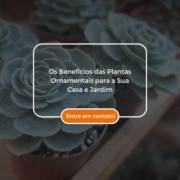 Os Benefícios das Plantas Ornamentais para a Sua Casa e Jardim
