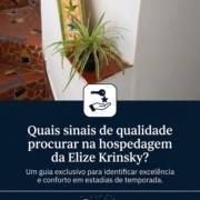 Quais sinais de qualidade procurar na hospedagem da Elize Krinsky?