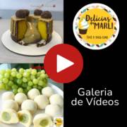 Galeria de Vídeos