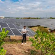 Benefícios da energia solar para agricultura e agroindústria.