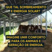 Problemas com o calor na sua propriedade? Temos a solução ideal para você!