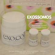 Exossomos