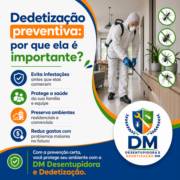 Dedetização preventiva: por que ela é importante?