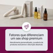 Fatores que diferenciam um sex shop premium