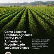 Como Escolher Produtos Agrícolas Certos Para Aumentar a Produtividade em Campo Grande