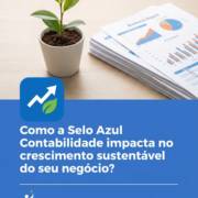 Como a Selo Azul Contabilidade impacta no crescimento sustentável do seu negócio?