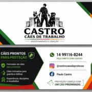 Cães Preparados para Proteger o que Mais Importa