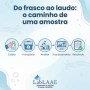 Do frasco ao laudo: o caminho de uma amostra