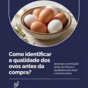Como identificar a qualidade dos ovos antes da compra?