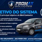 Bird Control: proteção para seu imóvel, sem ferir as aves