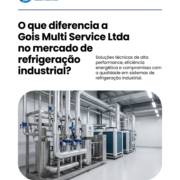 O que diferencia a Gois Multi Service Ltda no mercado de refrigeração industrial?
