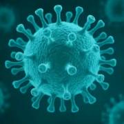 HPV em homens: o que é, como tratar e quando se preocupar