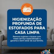 Higienização profunda de estofados para casa limpa