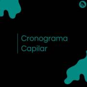 Cronograma Capilar