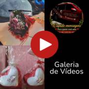 Galeria de Vídeos