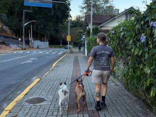 Semana cheia de fofura por aqui na CãoMiada | Serviços Pet!