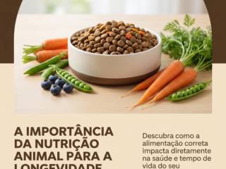 A Importância Da Nutrição Animal Para A Longevidade Dos Pets