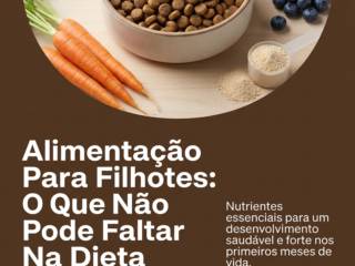 Alimentação Para Filhotes: O Que Não Pode Faltar Na Dieta