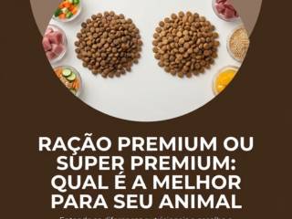 Ração Premium Ou Super Premium: Qual É A Melhor Para Seu Animal