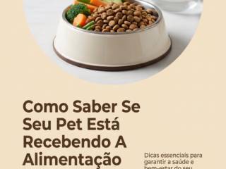 Como Saber Se Seu Pet Está Recebendo A Alimentação Correta