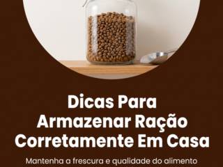 Dicas Para Armazenar Ração Corretamente Em Casa