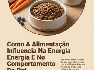Como A Alimentação Influencia Na Energia E No Comportamento Do Pet