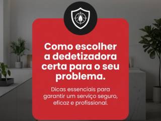 Como escolher a dedetizadora certa para o seu problema