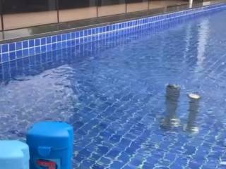 Tratamento da água com HidroAll