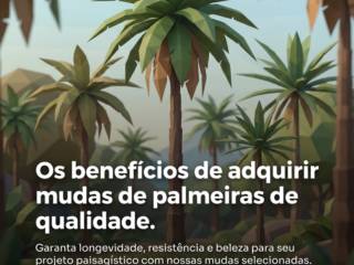 Os benefícios de adquirir mudas de palmeiras de qualidade.