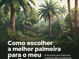 Como escolher a melhor palmeira para o meu jardim?
