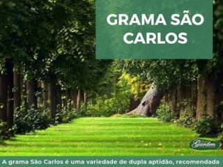 Grama São Carlos