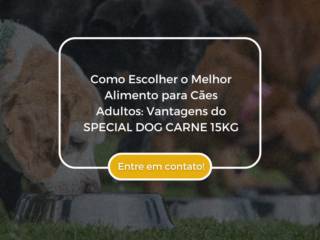 Como Escolher o Melhor Alimento para Cães Adultos: Vantagens do SPECIAL DOG CARNE 15KG